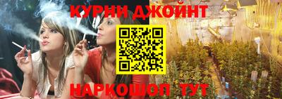 шишки Севастополь